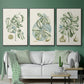 Buchoz Tropicals IX - Floater Framed Canvas Set