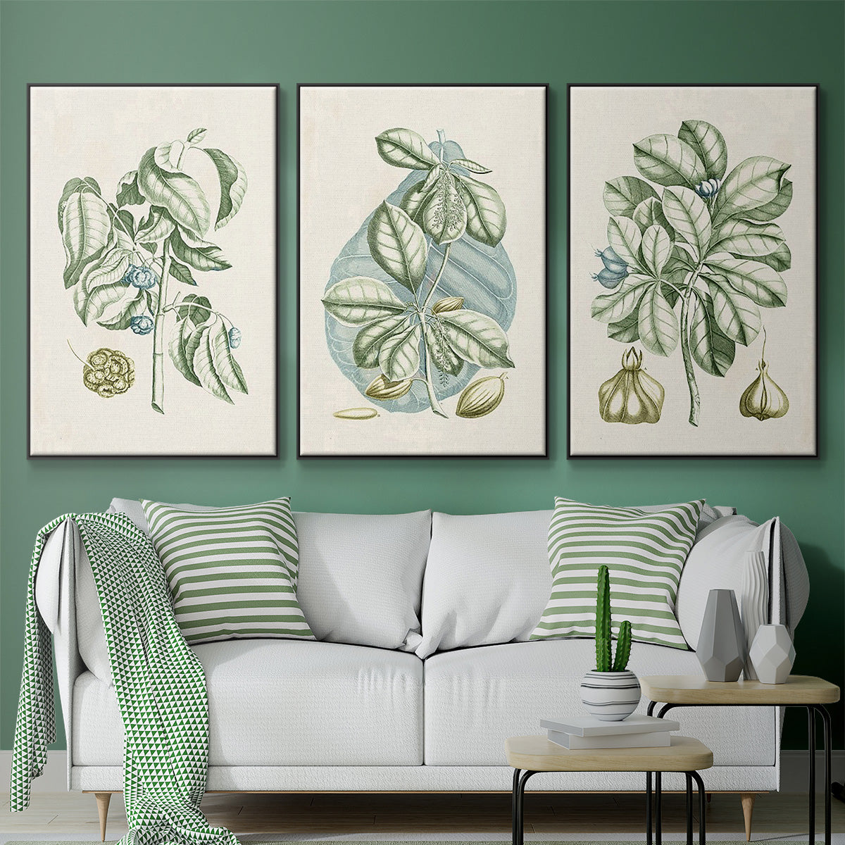 Buchoz Tropicals IX - Floater Framed Canvas Set