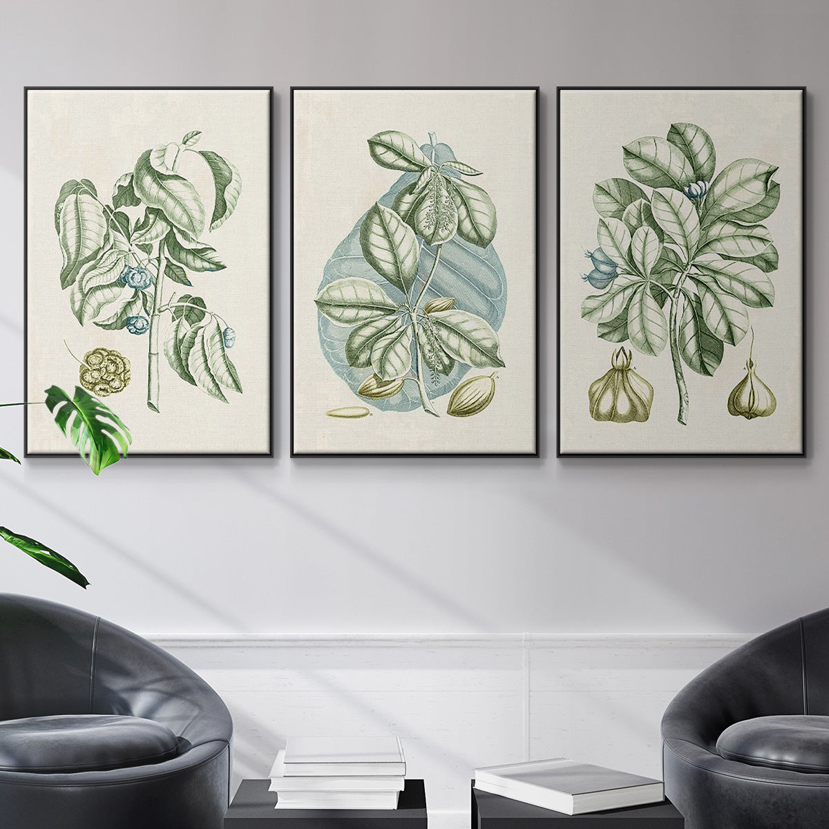 Buchoz Tropicals IX - Floater Framed Canvas Set