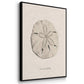 Shore Treasure Study I - Floater Framed Canvas Set