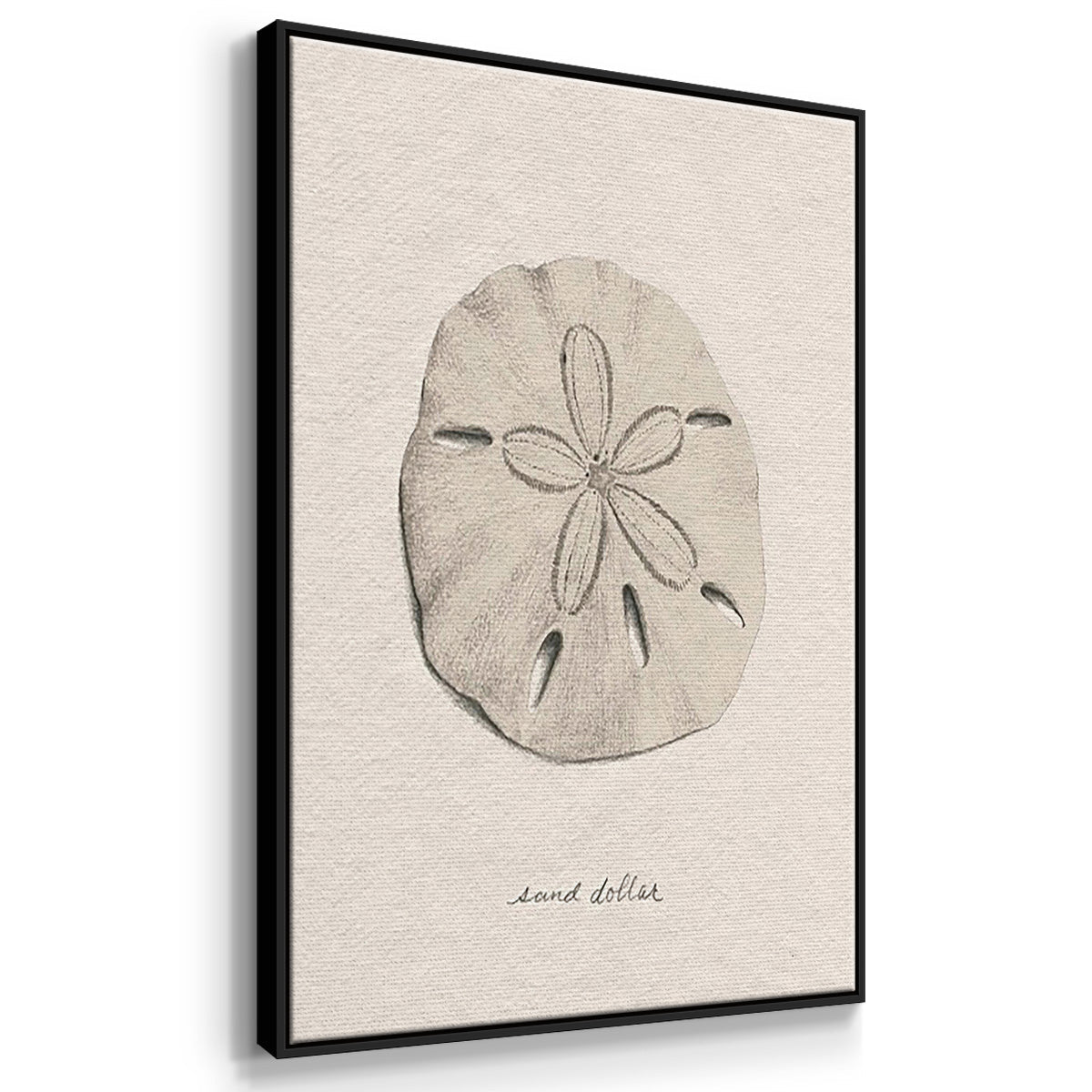 Shore Treasure Study I - Floater Framed Canvas Set