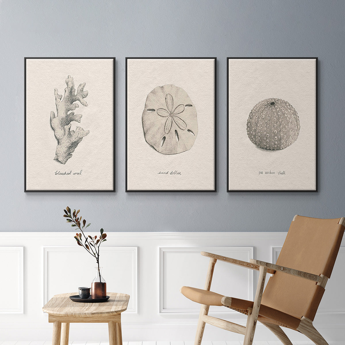 Shore Treasure Study I - Floater Framed Canvas Set