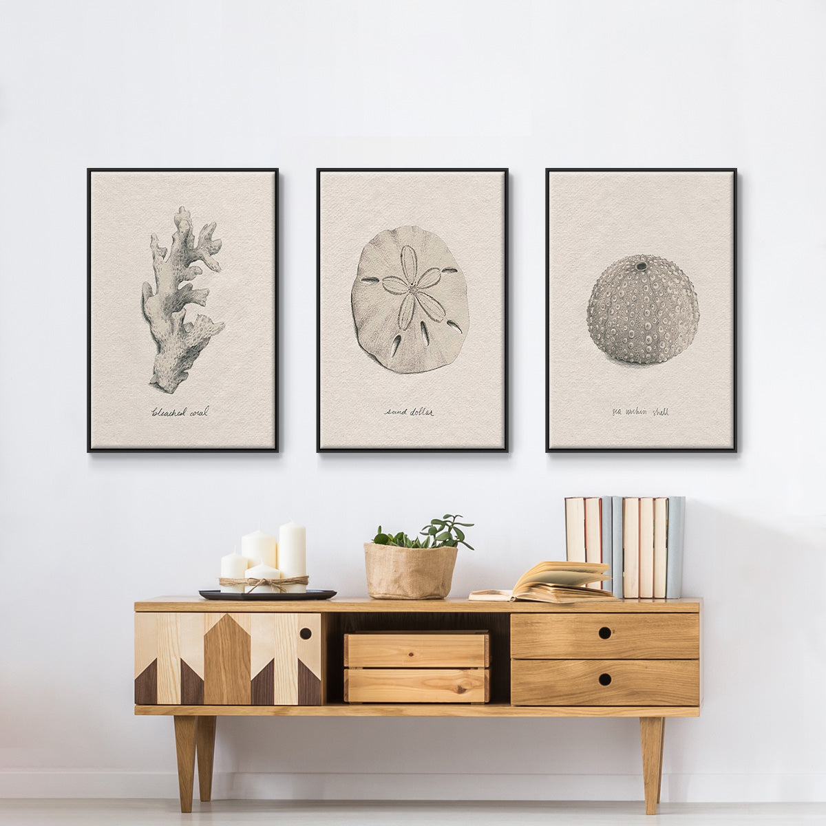 Shore Treasure Study I - Floater Framed Canvas Set