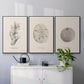 Shore Treasure Study I - Floater Framed Canvas Set