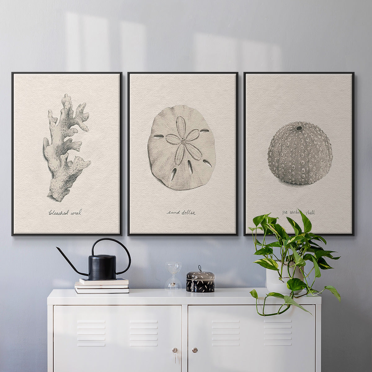 Shore Treasure Study I - Floater Framed Canvas Set