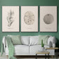 Shore Treasure Study I - Floater Framed Canvas Set