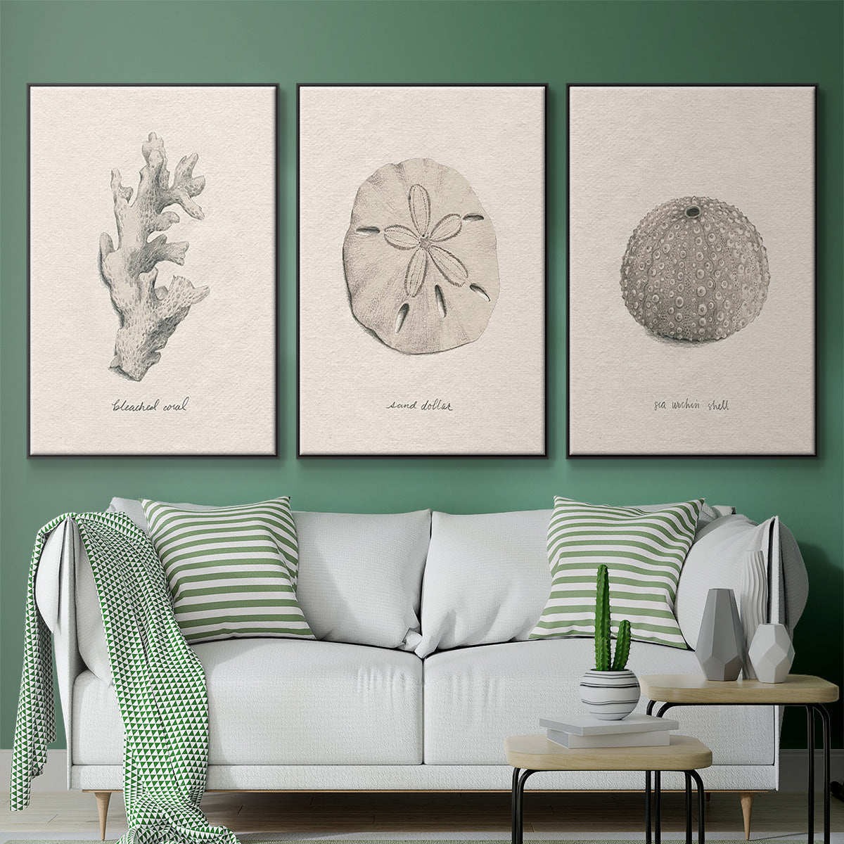 Shore Treasure Study I - Floater Framed Canvas Set
