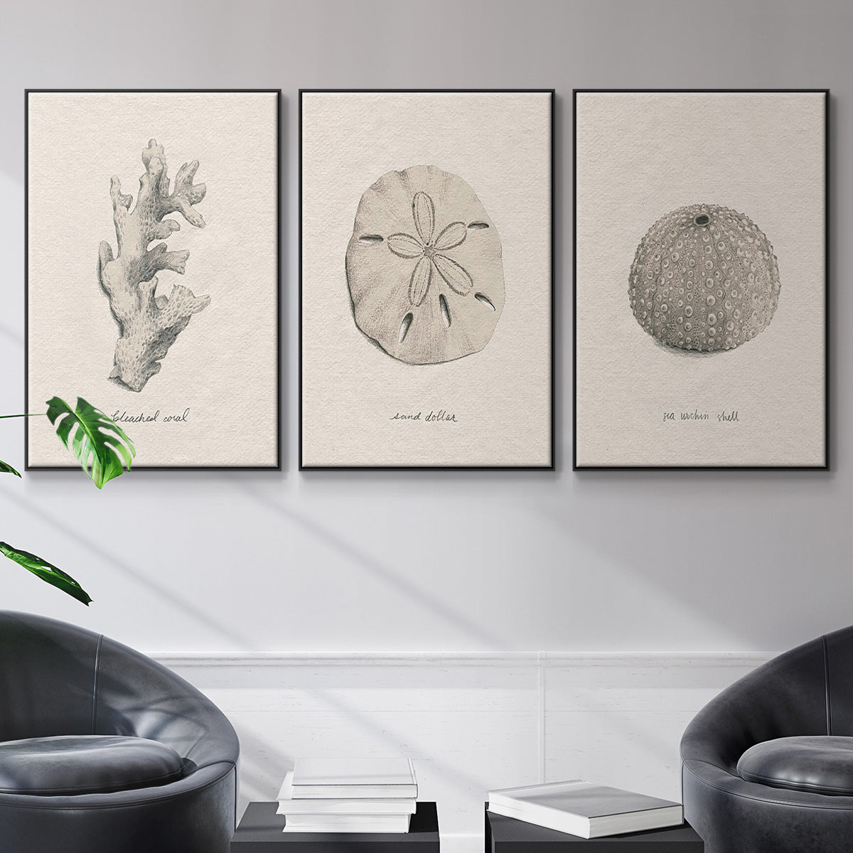 Shore Treasure Study I - Floater Framed Canvas Set