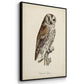 French Owls I - Floater Framed Canvas Set