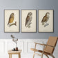 French Owls I - Floater Framed Canvas Set