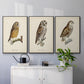 French Owls I - Floater Framed Canvas Set