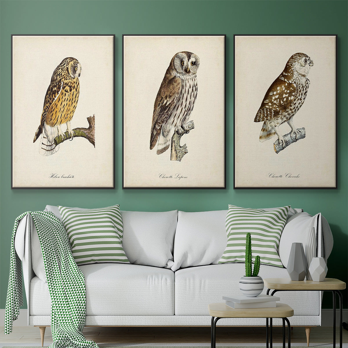 French Owls I - Floater Framed Canvas Set