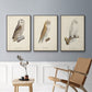 French Owls IV - Floater Framed Canvas Set
