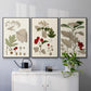 Leaves & Berries I - Floater Framed Canvas Set