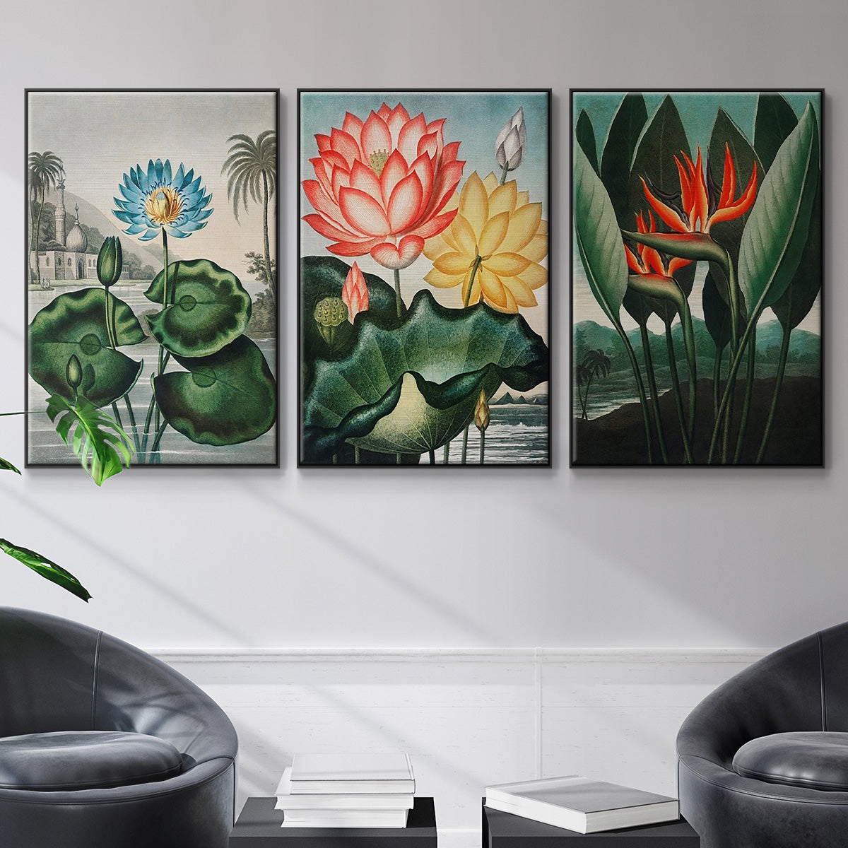 Temple of Flora IV - Floater Framed Canvas Set