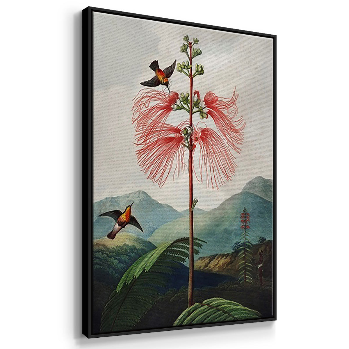 Temple of Flora VI - Floater Framed Canvas Set
