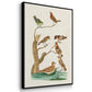 Antique Birds in Nature I - Floater Framed Canvas Set