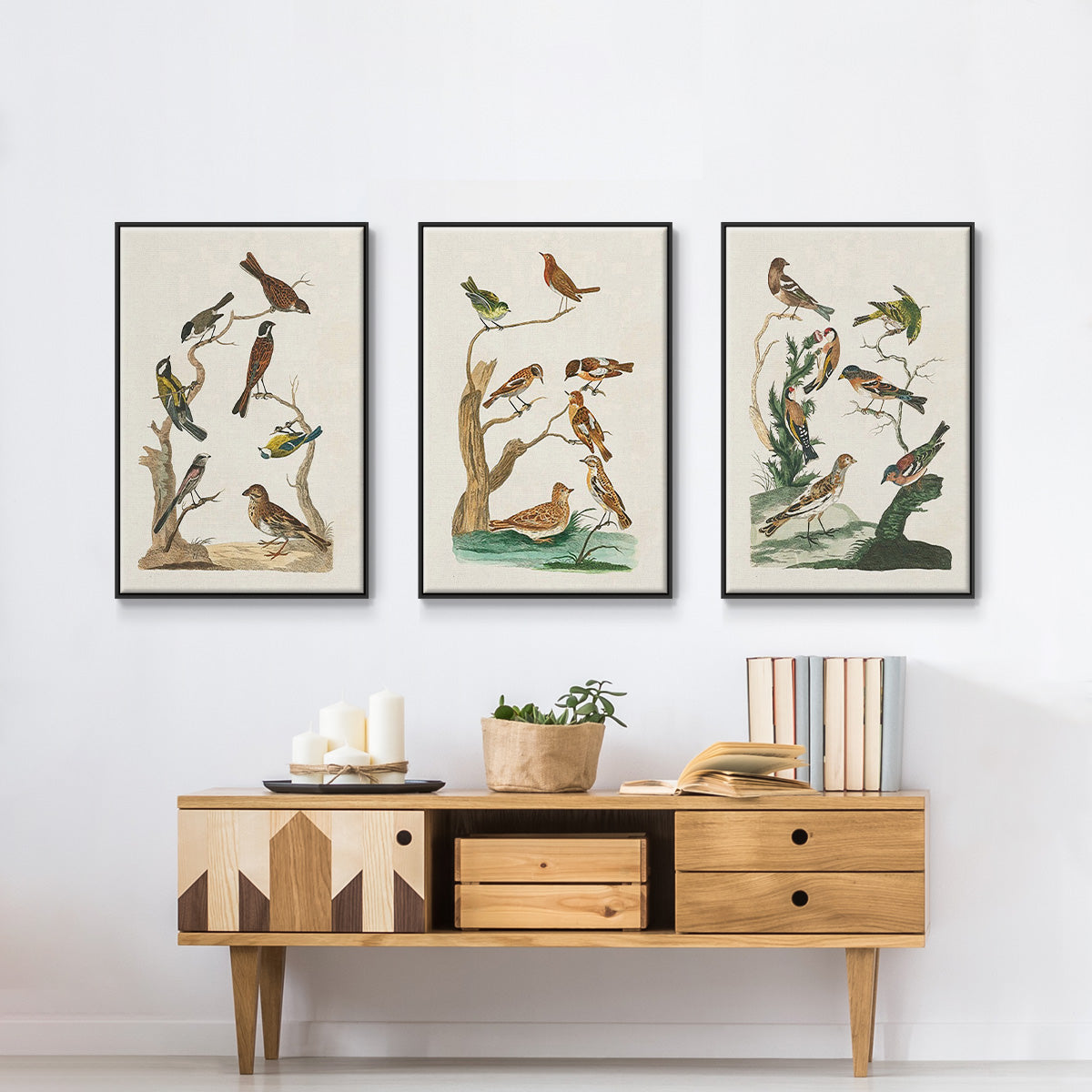 Antique Birds in Nature I - Floater Framed Canvas Set