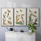 Antique Birds in Nature I - Floater Framed Canvas Set