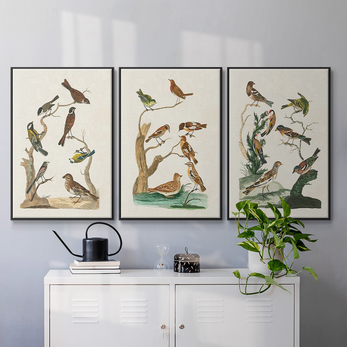 Antique Birds in Nature I - Floater Framed Canvas Set
