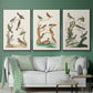 Antique Birds in Nature I - Floater Framed Canvas Set