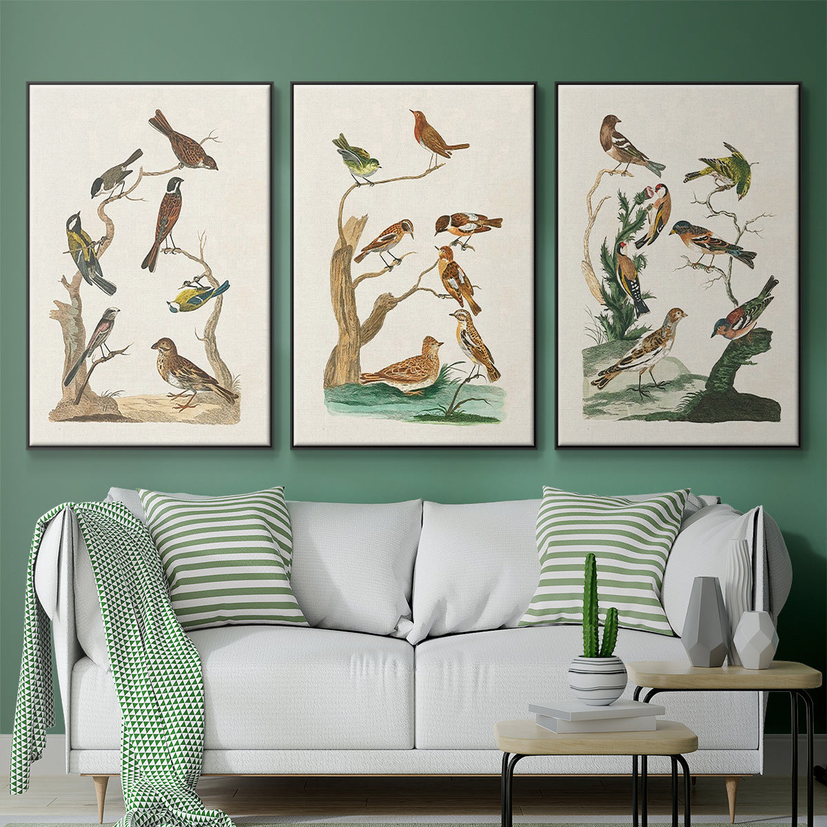 Antique Birds in Nature I - Floater Framed Canvas Set