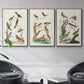Antique Birds in Nature I - Floater Framed Canvas Set