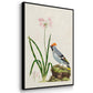 Antique Birds in Nature IV - Floater Framed Canvas Set