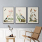 Antique Birds in Nature IV - Floater Framed Canvas Set