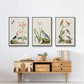 Antique Birds in Nature IV - Floater Framed Canvas Set