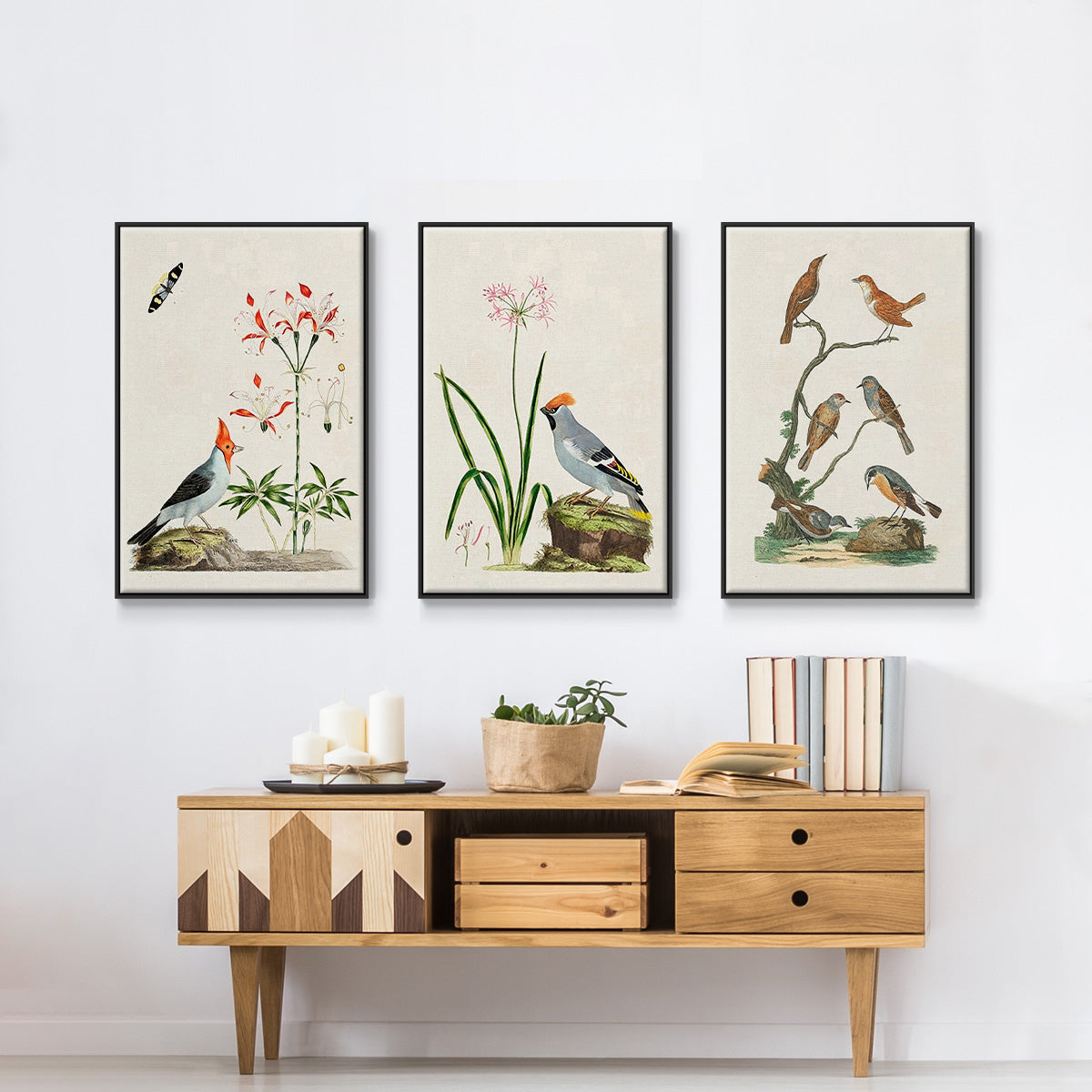 Antique Birds in Nature IV - Floater Framed Canvas Set