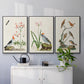 Antique Birds in Nature IV - Floater Framed Canvas Set