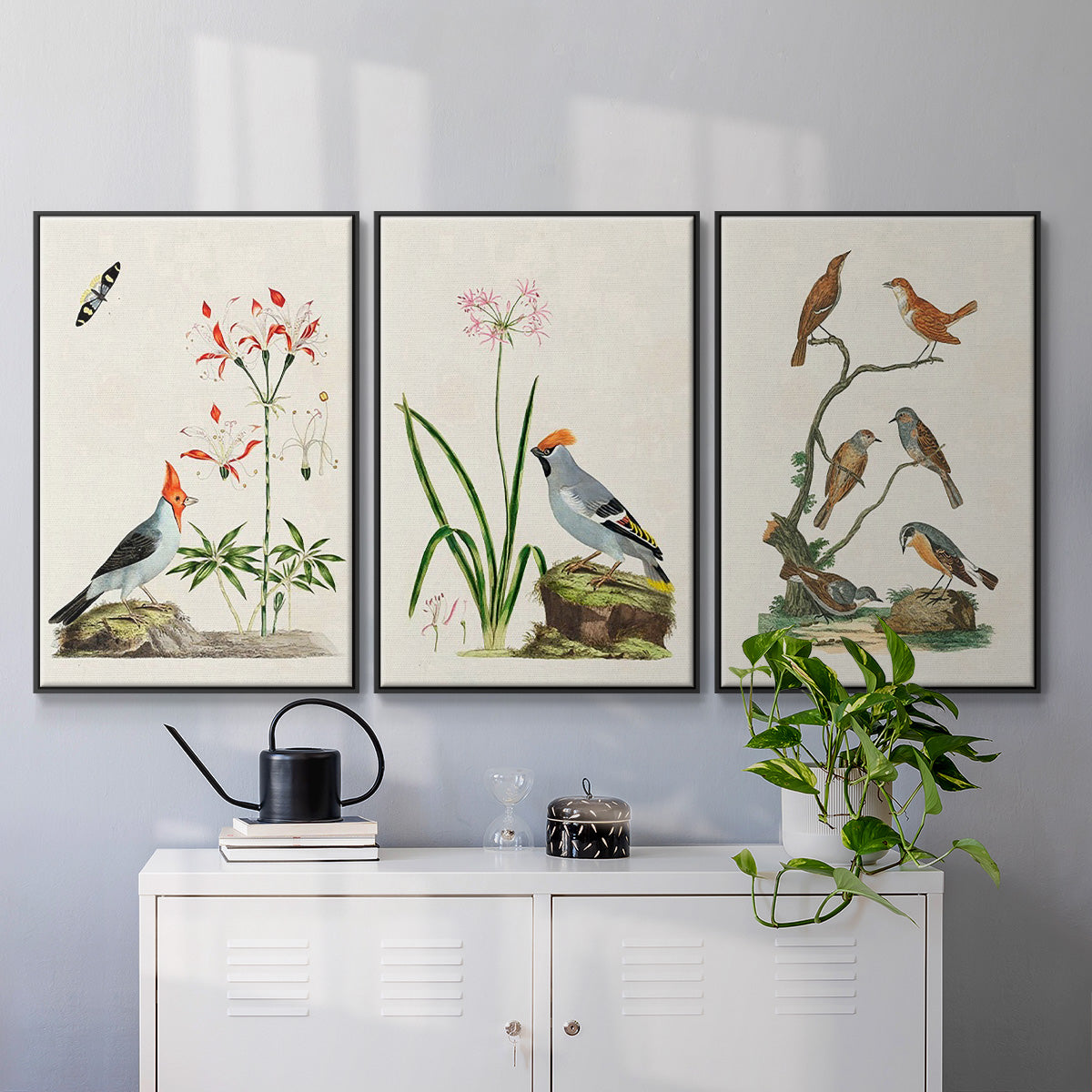 Antique Birds in Nature IV - Floater Framed Canvas Set