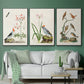 Antique Birds in Nature IV - Floater Framed Canvas Set