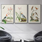 Antique Birds in Nature IV - Floater Framed Canvas Set