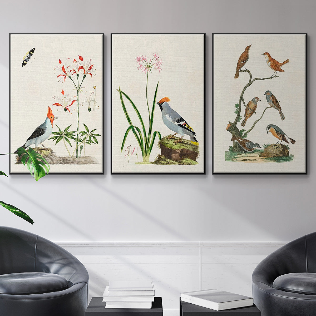 Antique Birds in Nature IV - Floater Framed Canvas Set