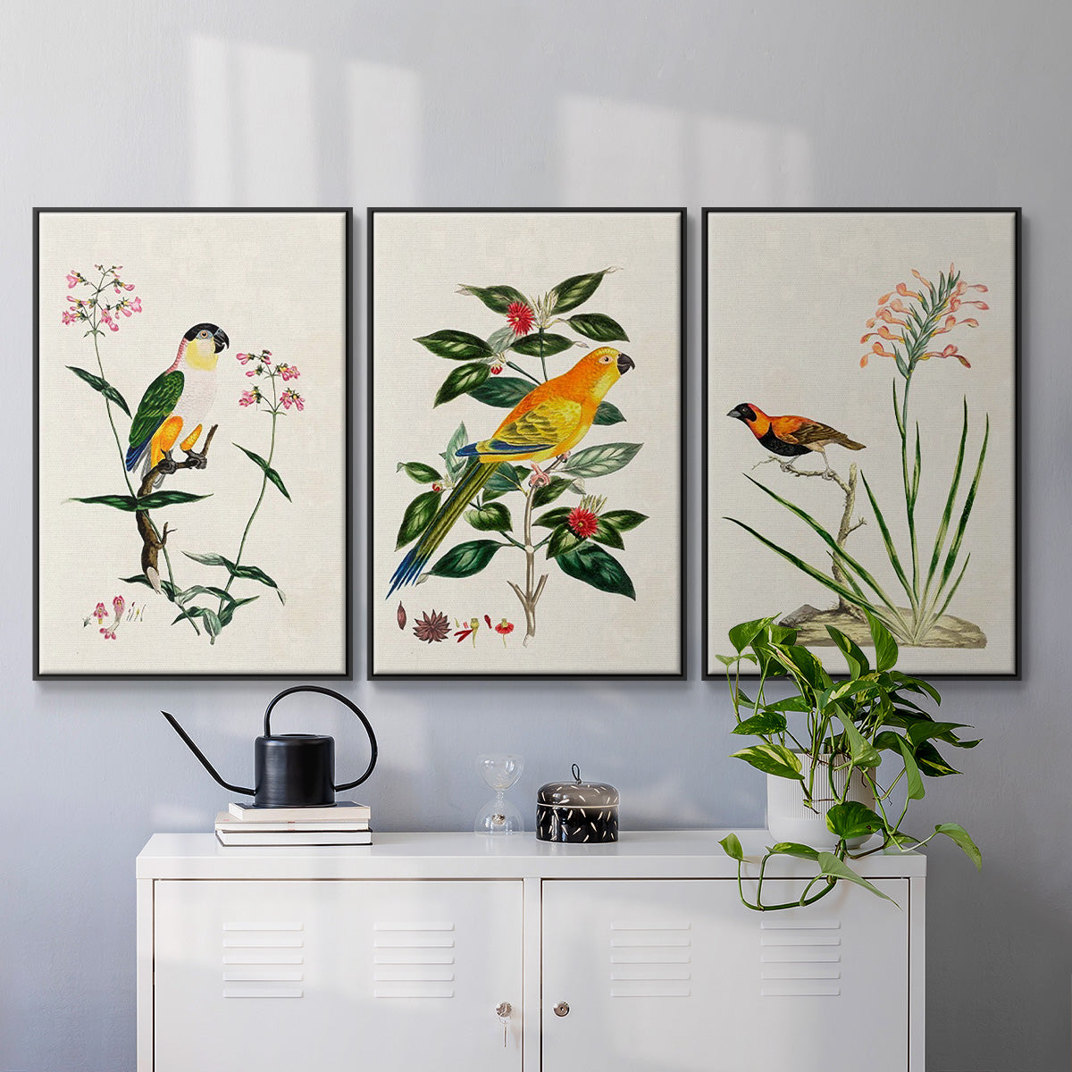 Bird in Habitat III - Floater Framed Canvas Set