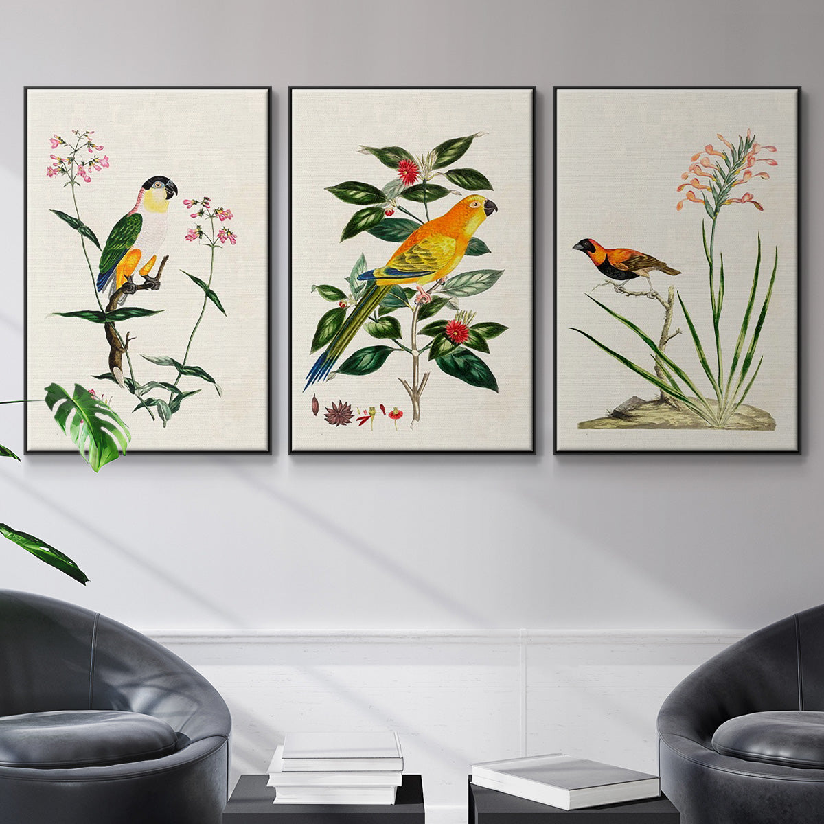 Bird in Habitat III - Floater Framed Canvas Set
