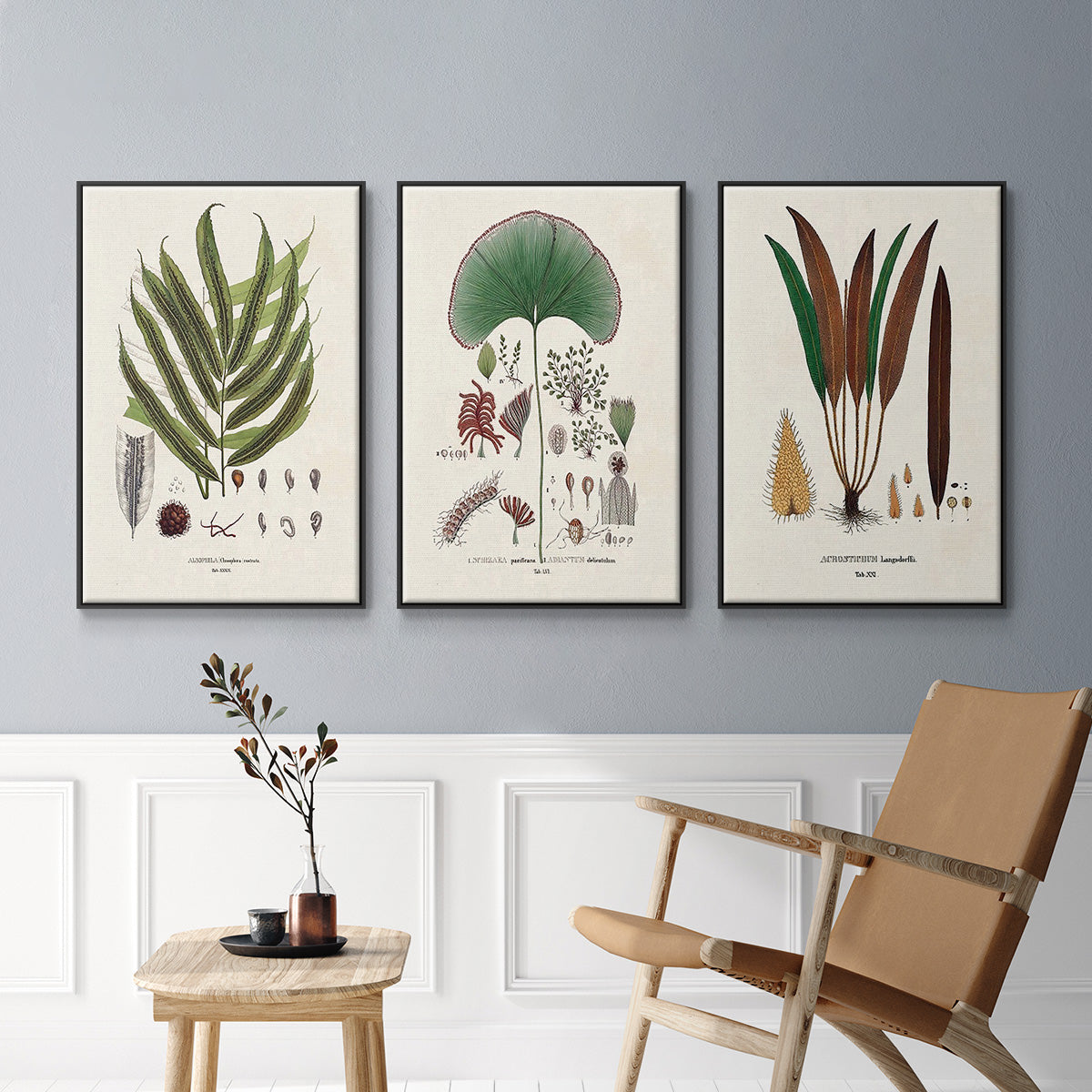 Botanical Society Ferns I - Floater Framed Canvas Set