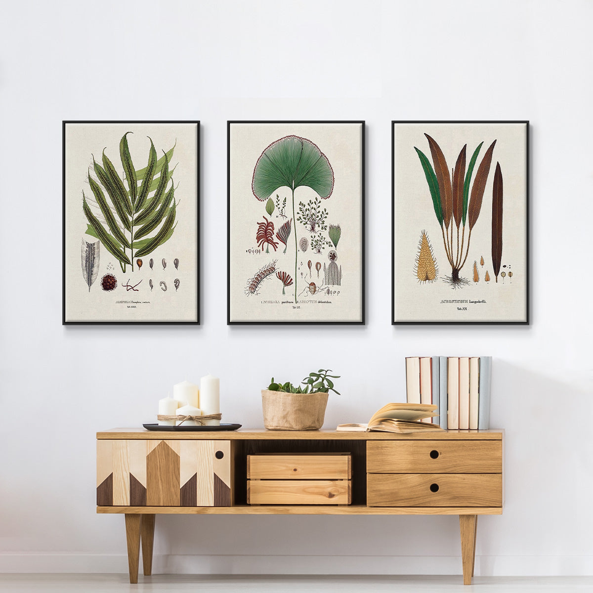 Botanical Society Ferns I - Floater Framed Canvas Set