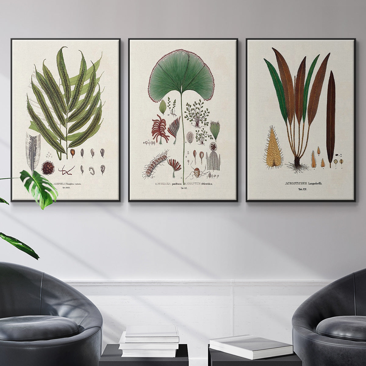 Botanical Society Ferns I - Floater Framed Canvas Set