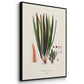 Botanical Society Ferns IV - Floater Framed Canvas Set