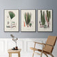 Botanical Society Ferns IV - Floater Framed Canvas Set