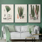 Botanical Society Ferns IV - Floater Framed Canvas Set