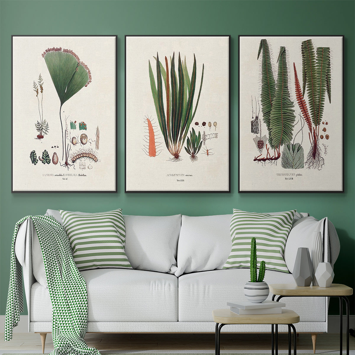 Botanical Society Ferns IV - Floater Framed Canvas Set