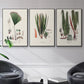 Botanical Society Ferns IV - Floater Framed Canvas Set