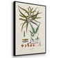 Botanical Society Ferns VI - Floater Framed Canvas Set