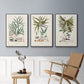 Botanical Society Ferns VI - Floater Framed Canvas Set