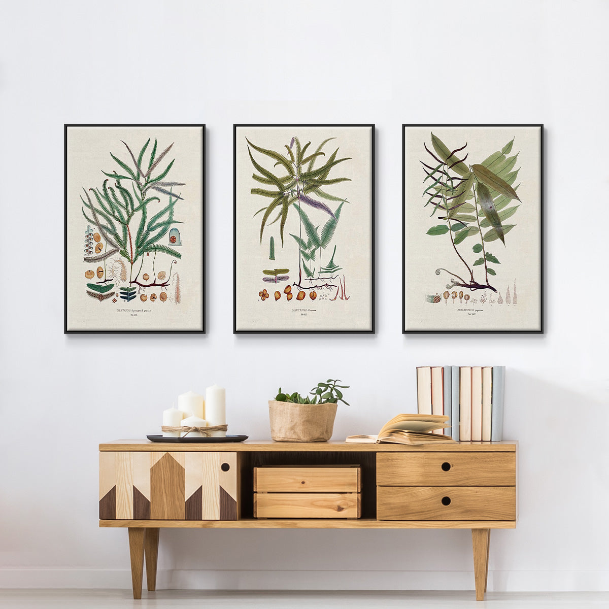 Botanical Society Ferns VI - Floater Framed Canvas Set