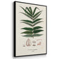 Botanical Society Ferns X - Floater Framed Canvas Set